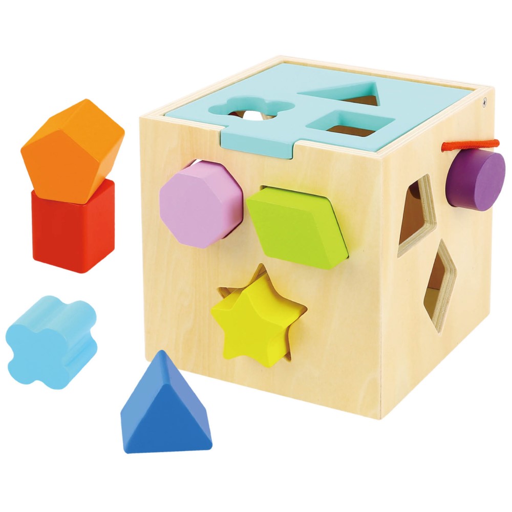 Toddlers 12 Pcs Wooden Shape Sorter Cube
