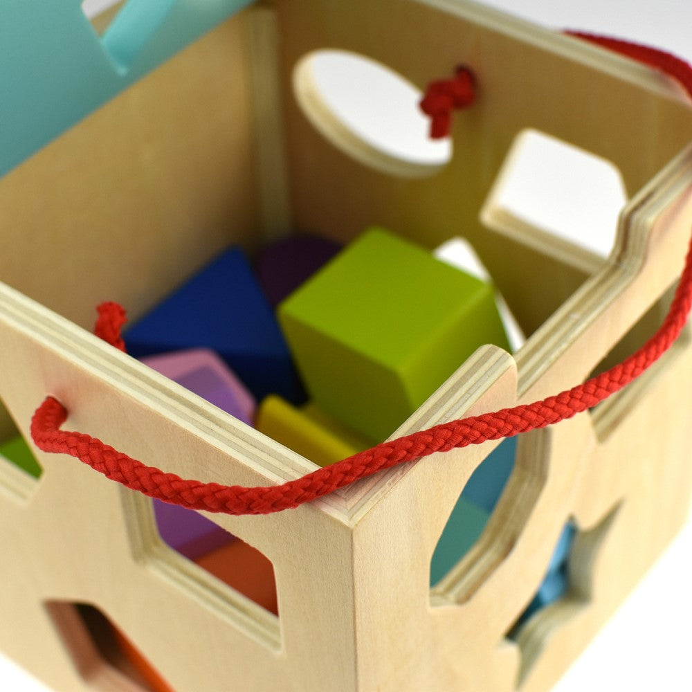 Toddlers 12 Pcs Wooden Shape Sorter Cube