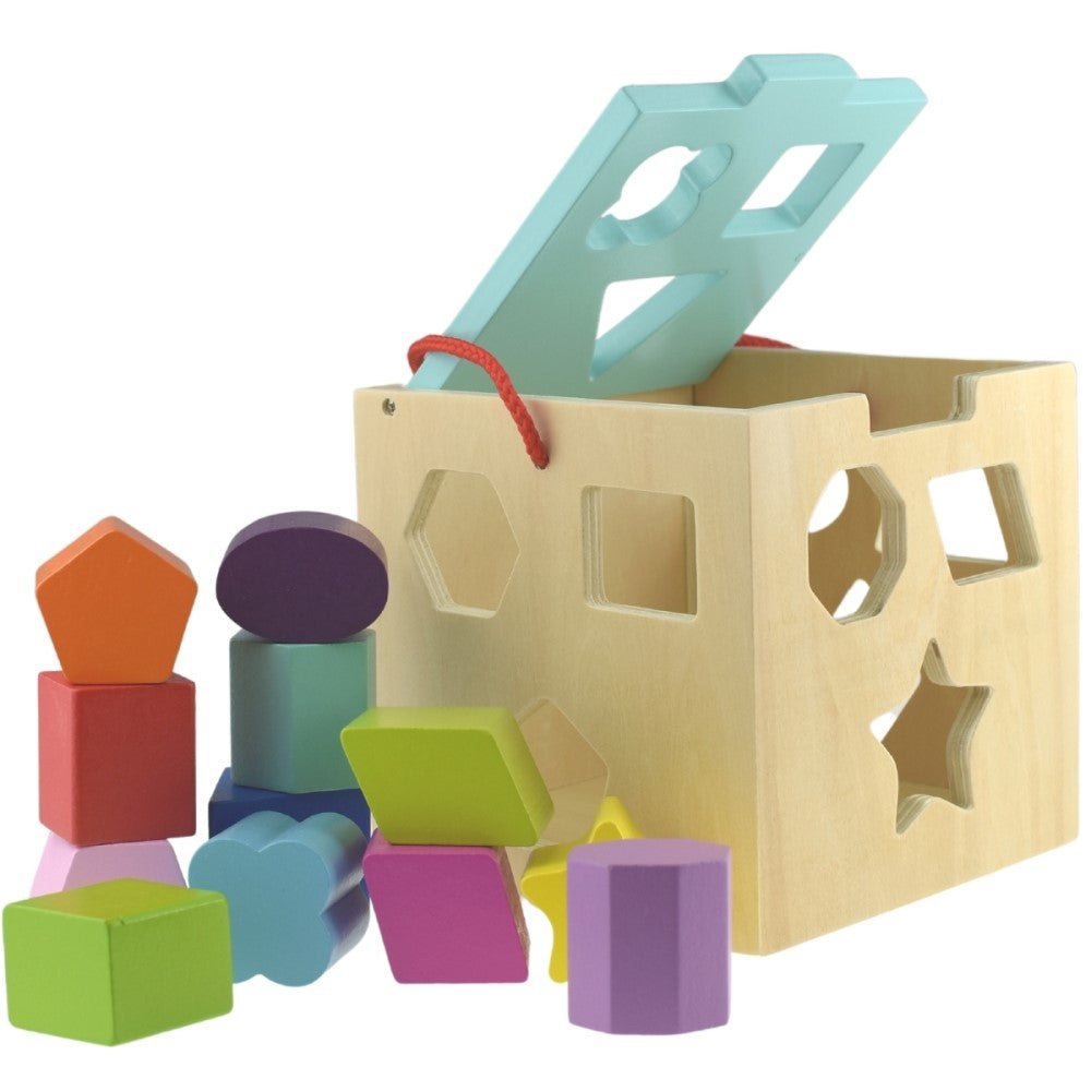 Toddlers 12 Pcs Wooden Shape Sorter Cube