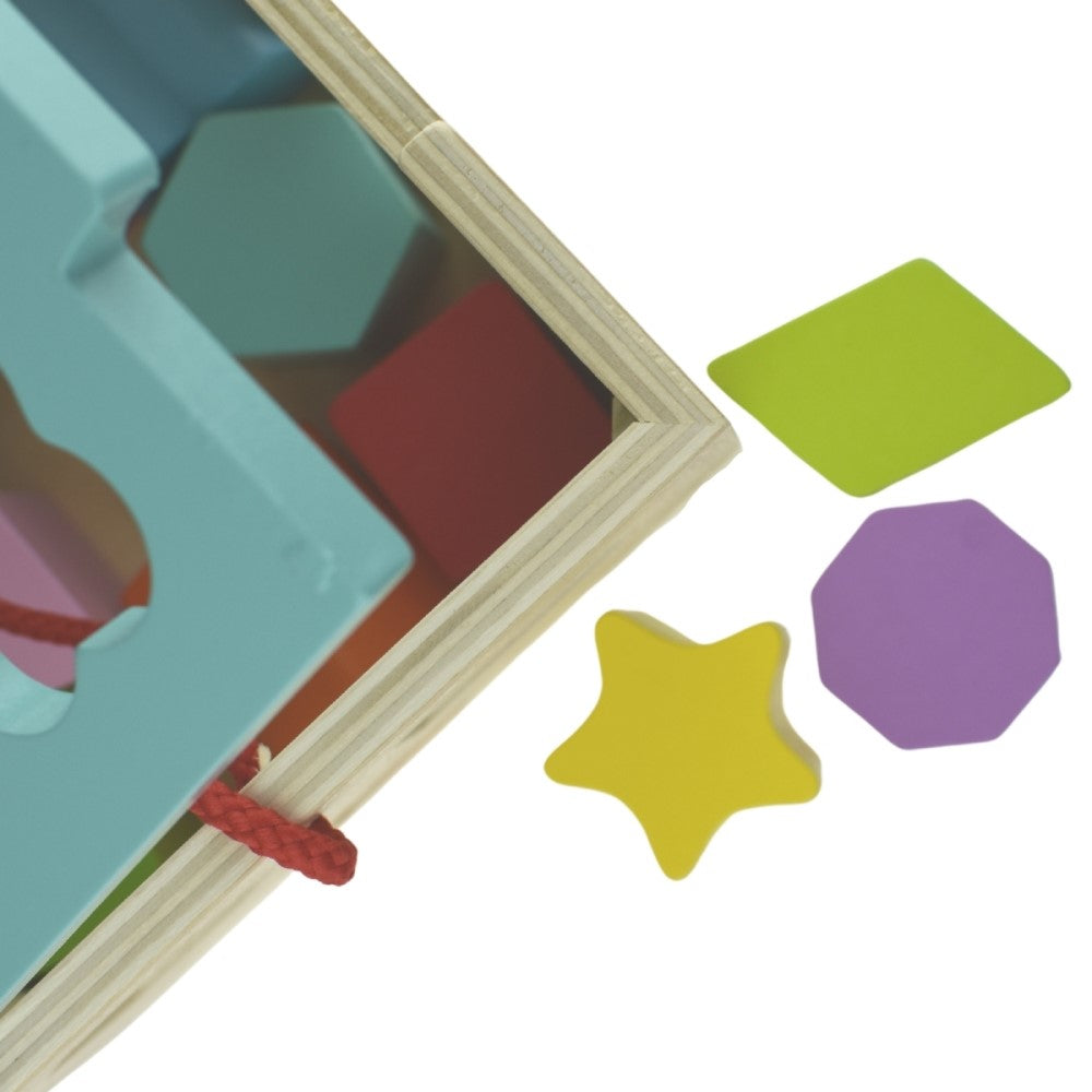 Toddlers 12 Pcs Wooden Shape Sorter Cube