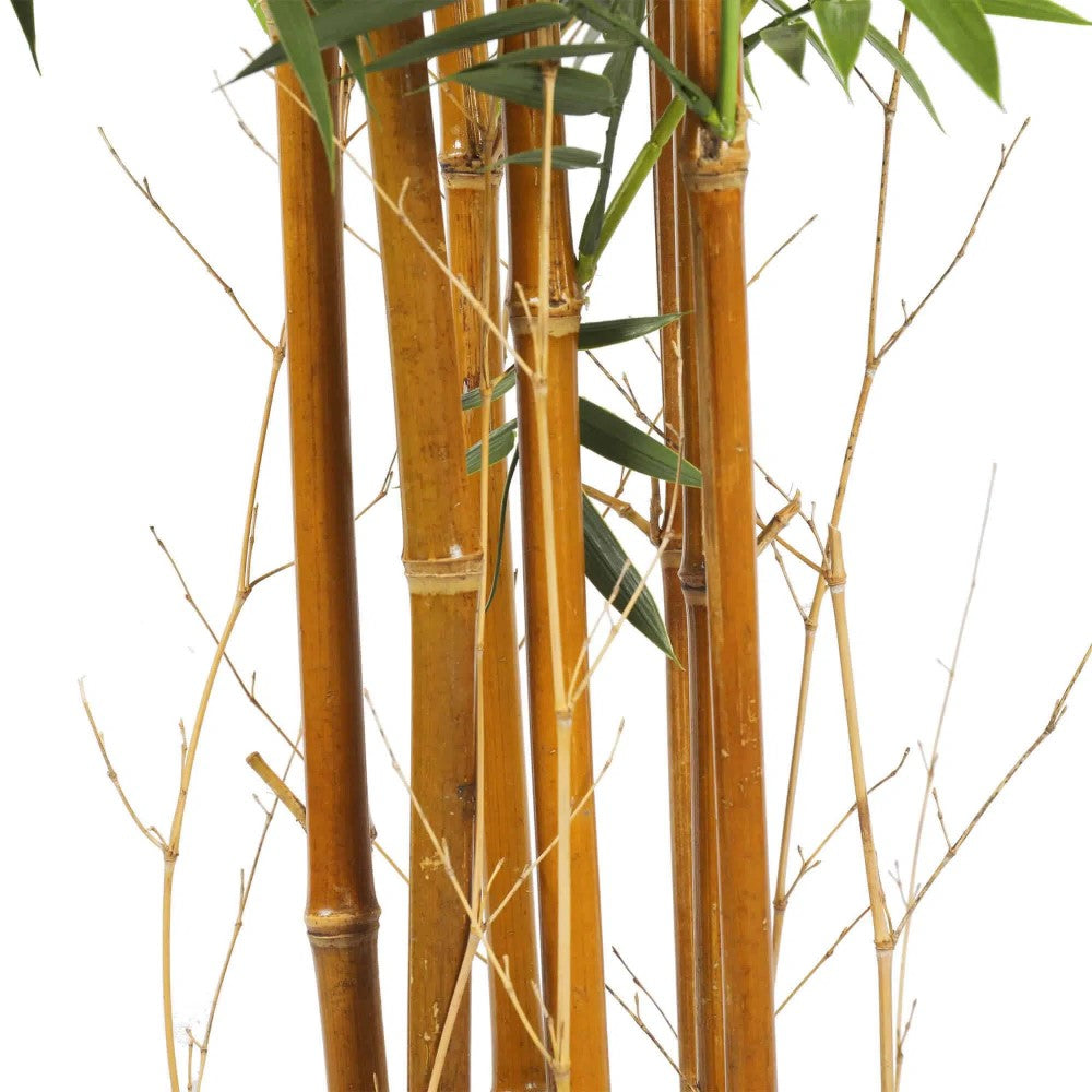 UV Resistant Artificial Bamboo Tree 180cms