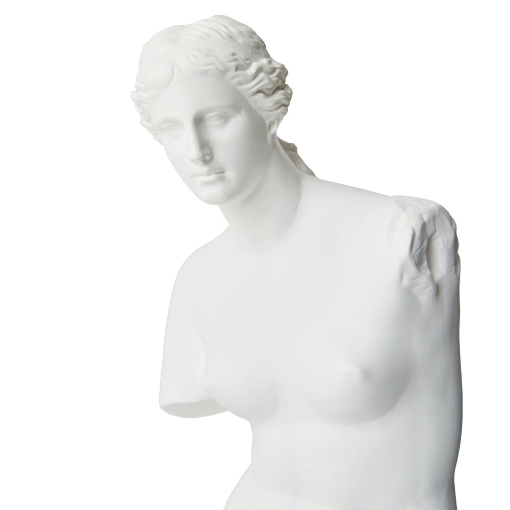 Venus, The Roman Goddess Statue