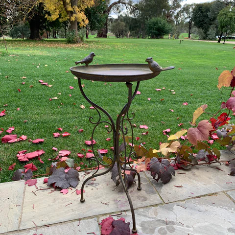 Vintage Rustic Bird Bath on Stand