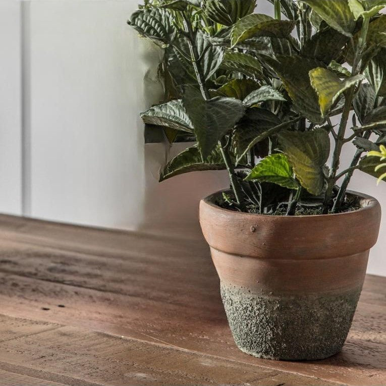 Artificial White Salvia Plant In Cement Pot