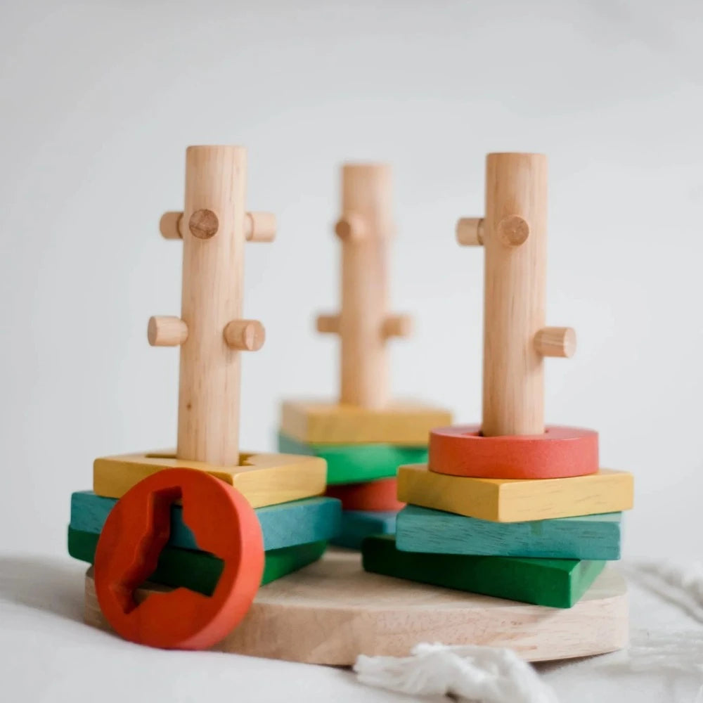 Wooden Colorful Twisting Disk
