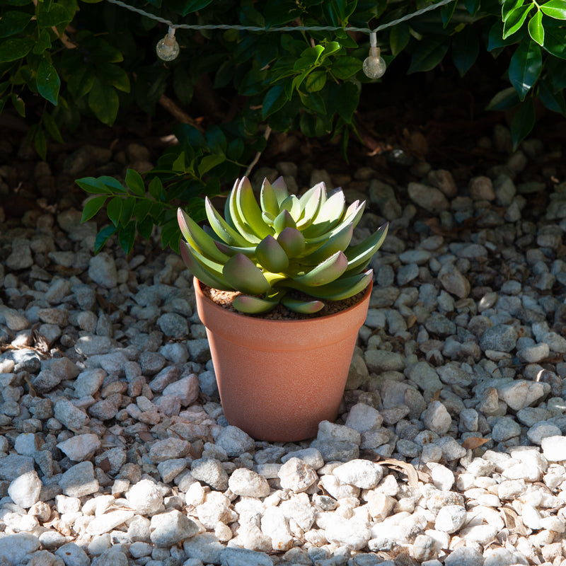 Artificial Plastic Green Lotus Plastic Pot - 19cms