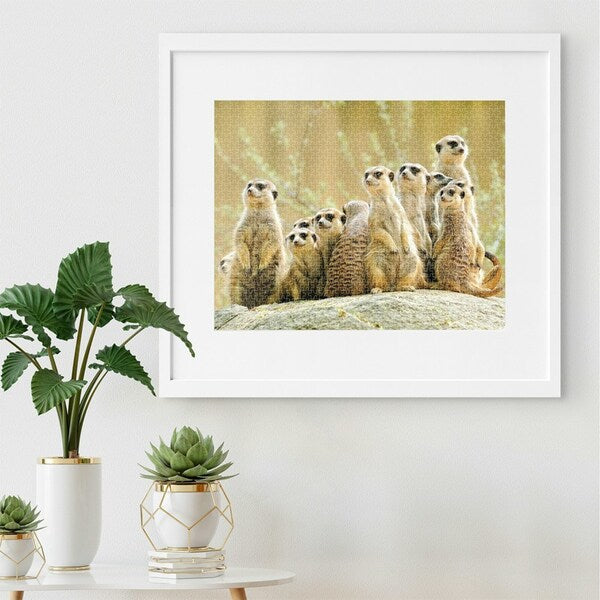 Meerkat Family 1000 Piece Puzzle