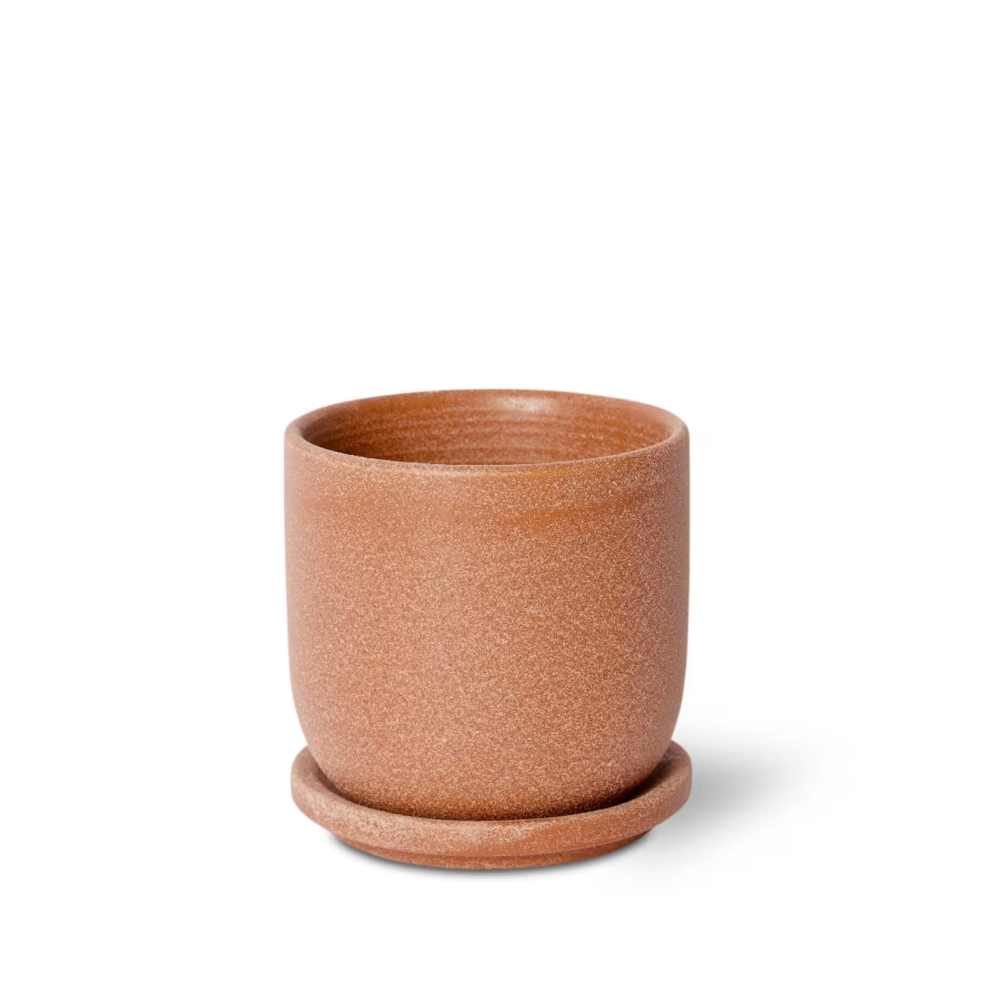 Cermaic Allegra Pot with Saucer - Available in 3 colors - 12 x 12 x 12cms