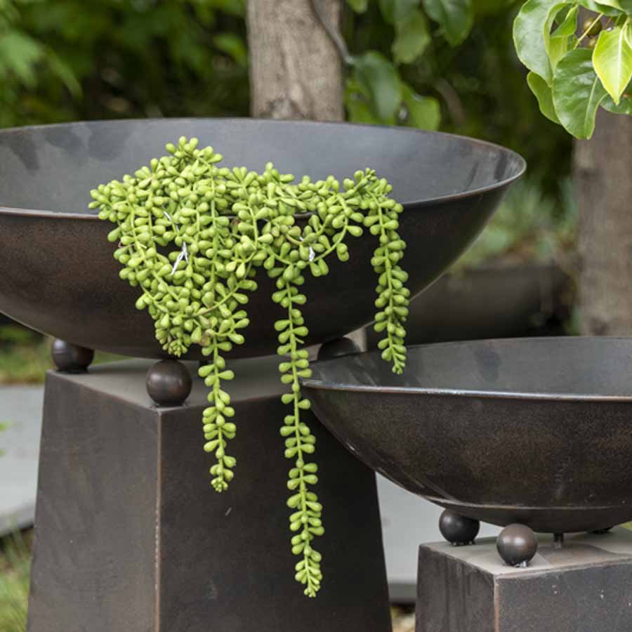 Long String of Pearls Artificial Plants