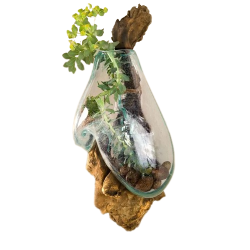 Nature's Haven Wooden Log Wall Terrarium