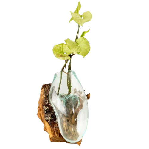 Nature's Haven Wooden Log Wall Terrarium