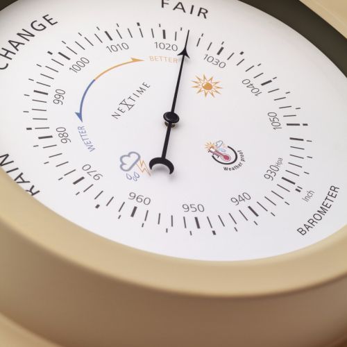 NeXtime Orchid Outdoor Wall Hanging Barometer - 22cm