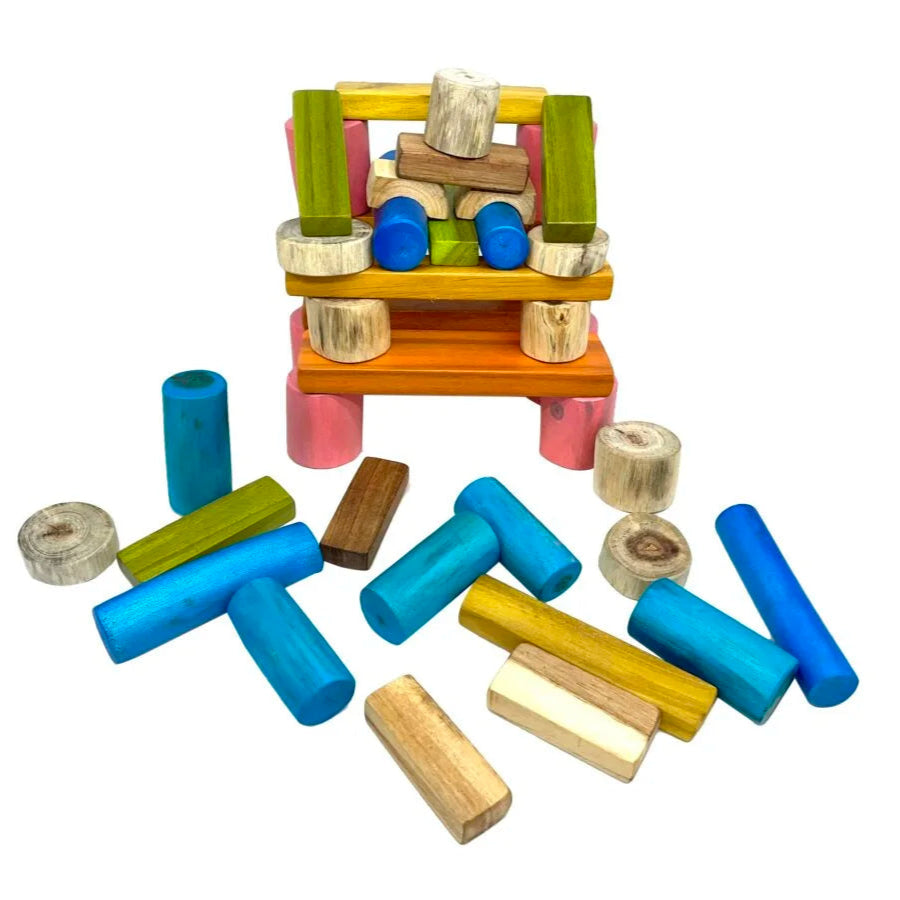 Nature-Inspired Play Forest Color Blocks