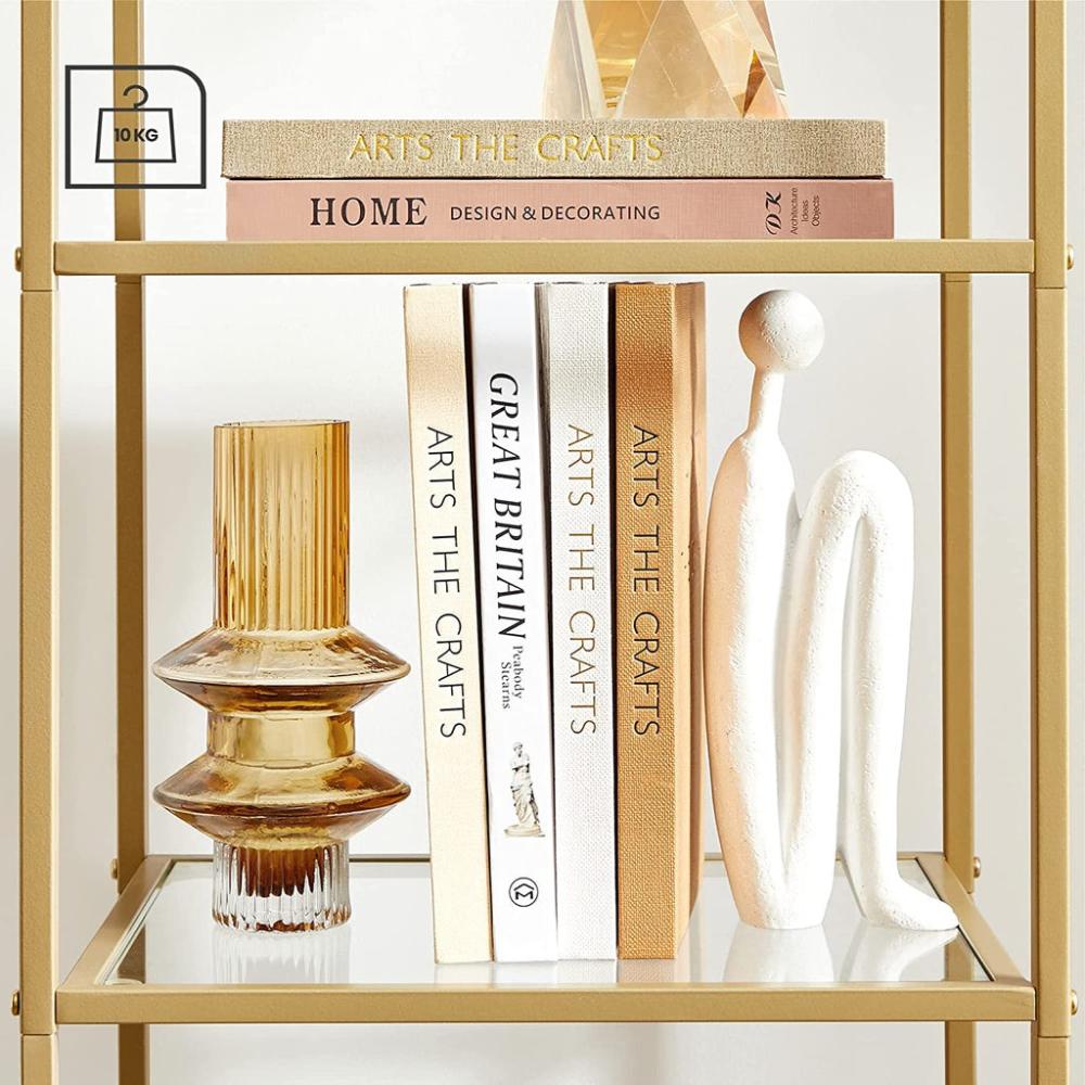 Simple Professional 5-Tier Storage Shelf