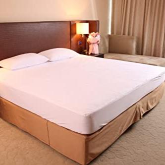 Bamboo Terry Single Mattress Protector - King