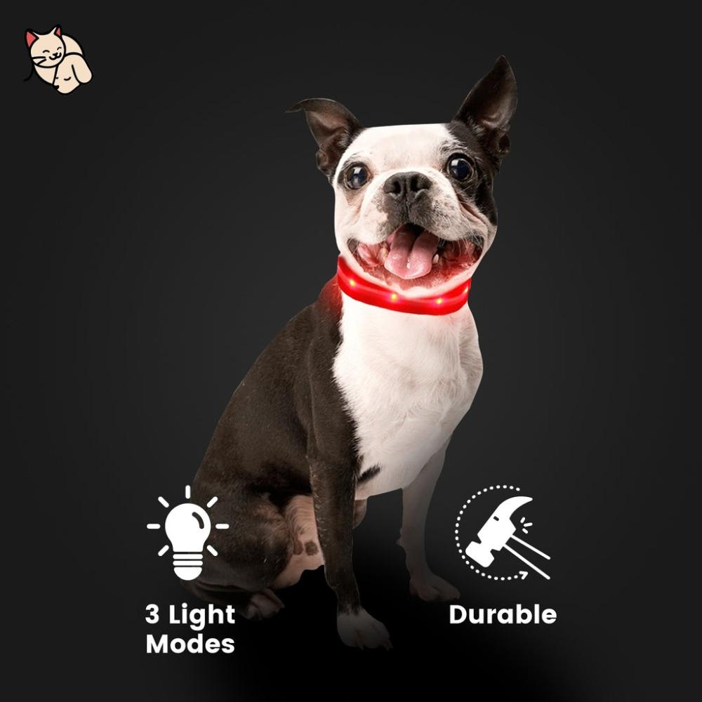 Ultra-Bright LED Dog Collar (S Black)