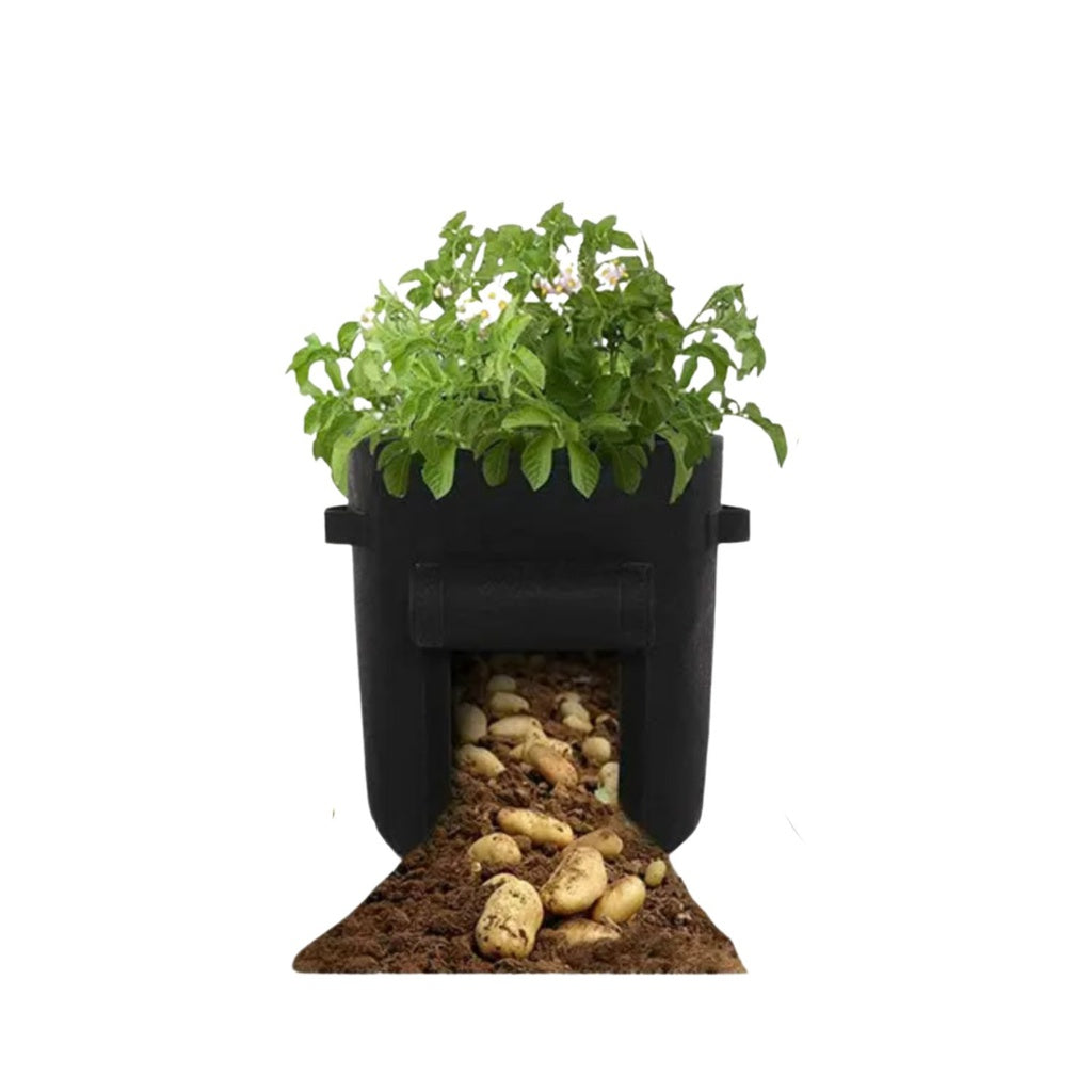 10 Gallon Plant Grow Bags with Window Flap - Pack of 5 (Black)