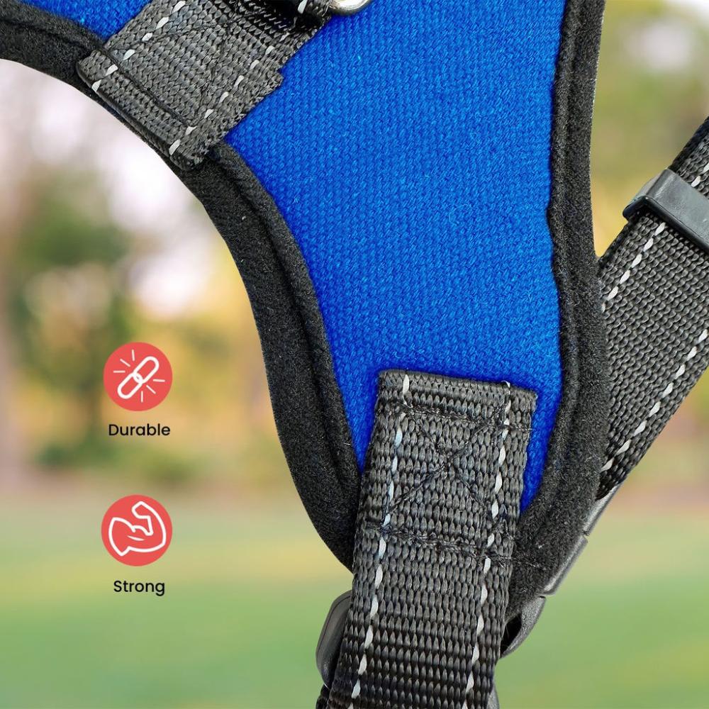 Durable Dog Harness S Size (Blue)