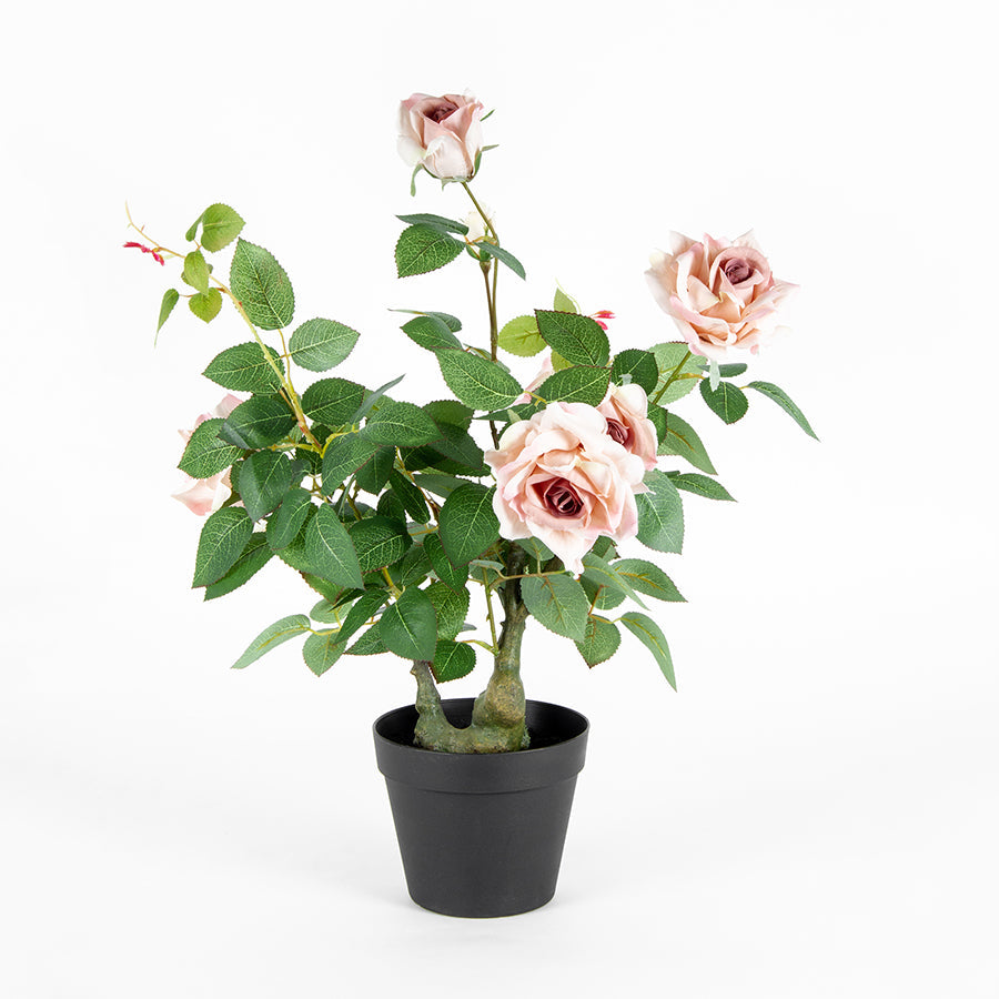 Potted Artificial Lagerfield Rose