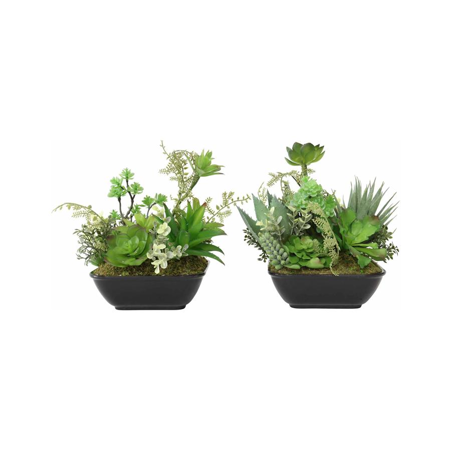 Artificial Mixed Succulents Potted Set of 2