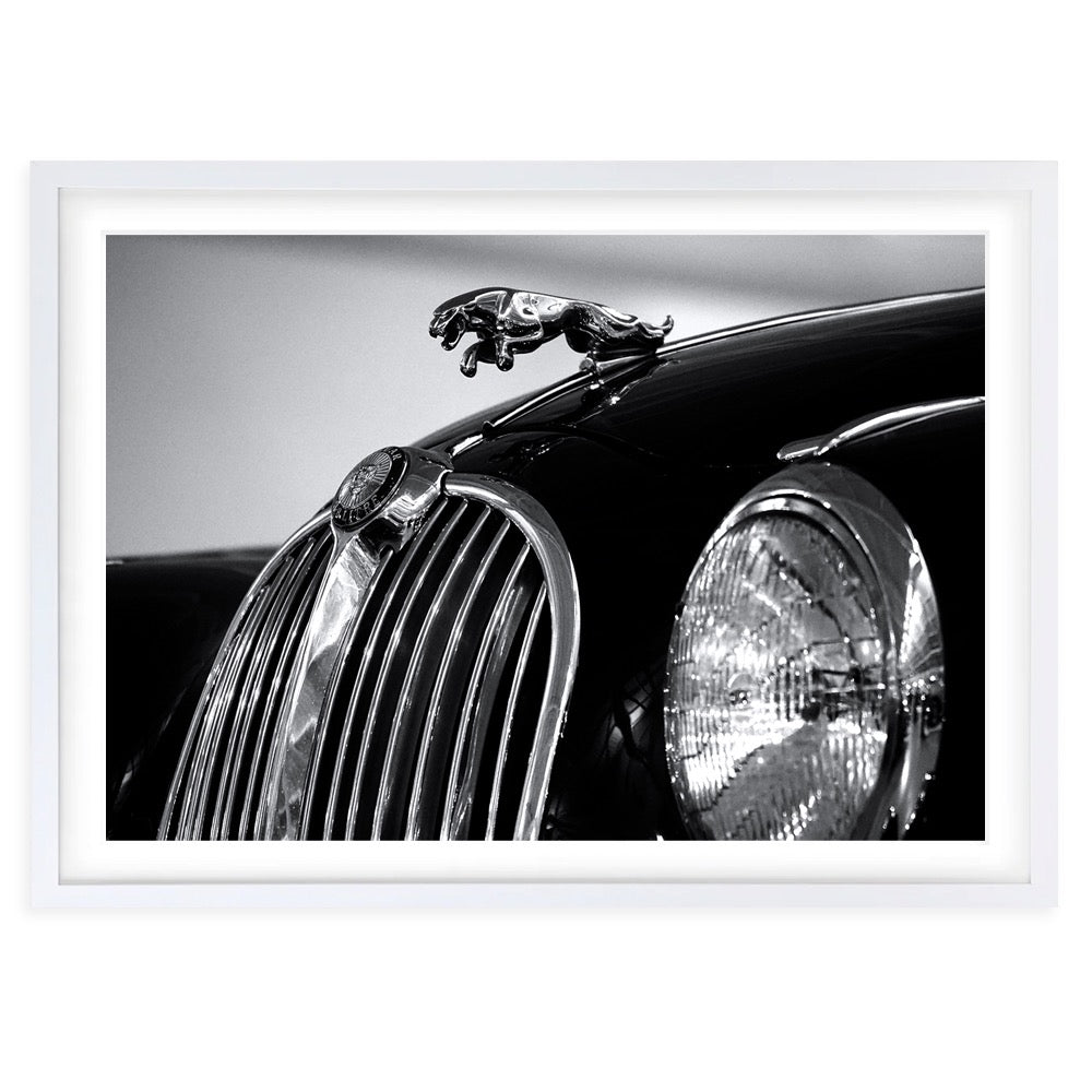 Jaguar 105cm x 81cm Framed A1 Art Print