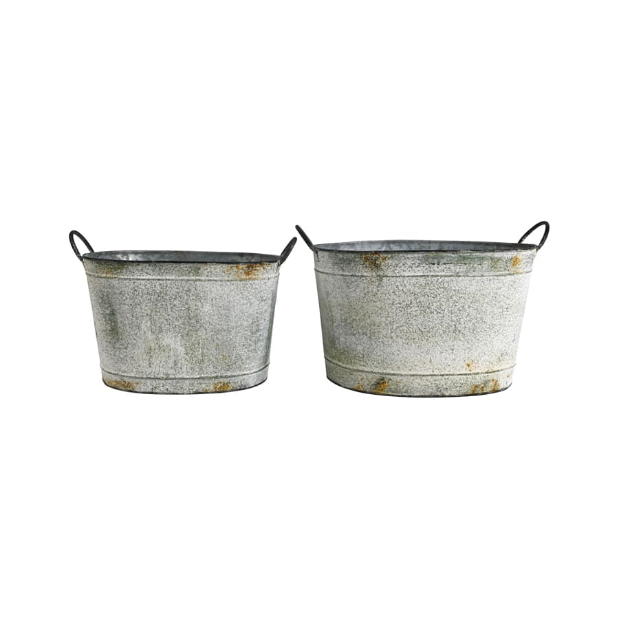 Organic & Local Green Market Planter Buckets Set of 2