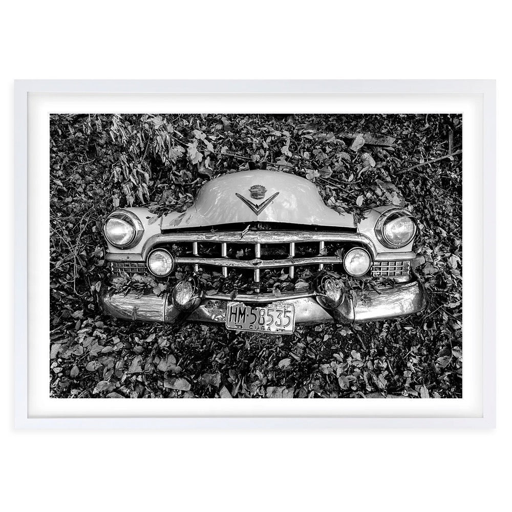 Cuban Forrest Car Large 105cm x 81cm Framed A1 Art Print
