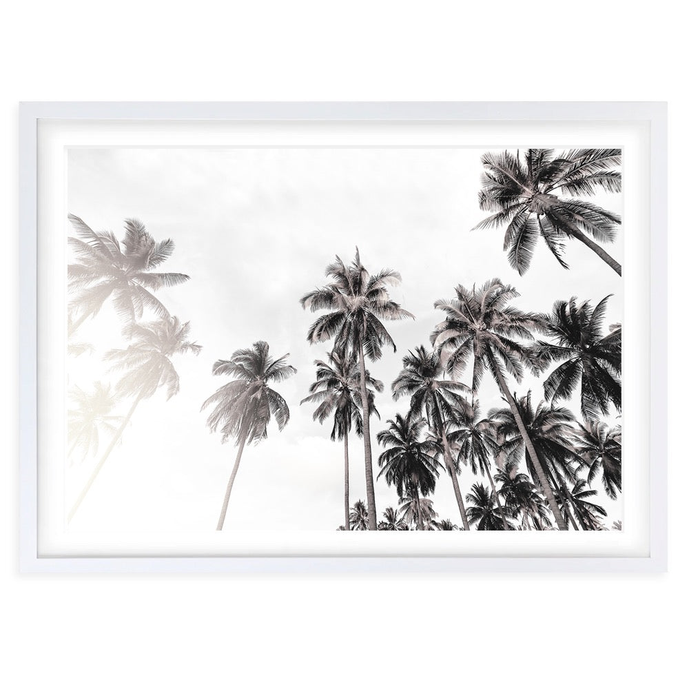 Monochrome Palm Trees 105cm x 81cm Framed A1 Art Print
