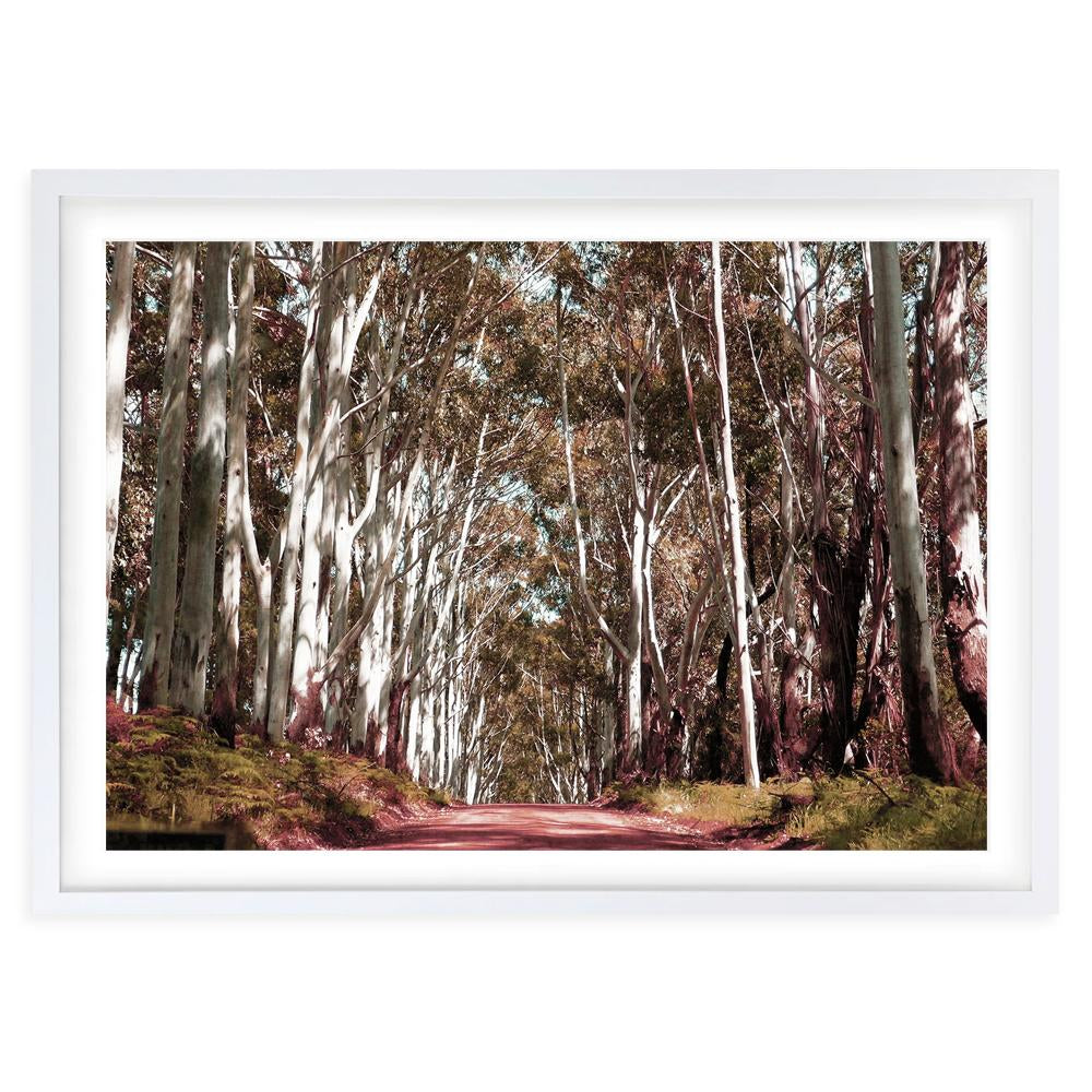 Margaret River Forest Road 105cm x 81cm Framed A1 Art Print