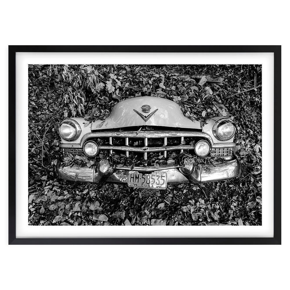 Cuban Forrest Car Large 105cm x 81cm Framed A1 Art Print