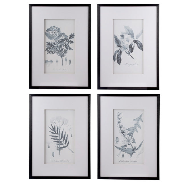 Flora & Fauna Set of 4 Framed Prints
