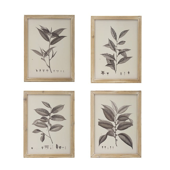 Botanical Wall Décor Frames Set of 4