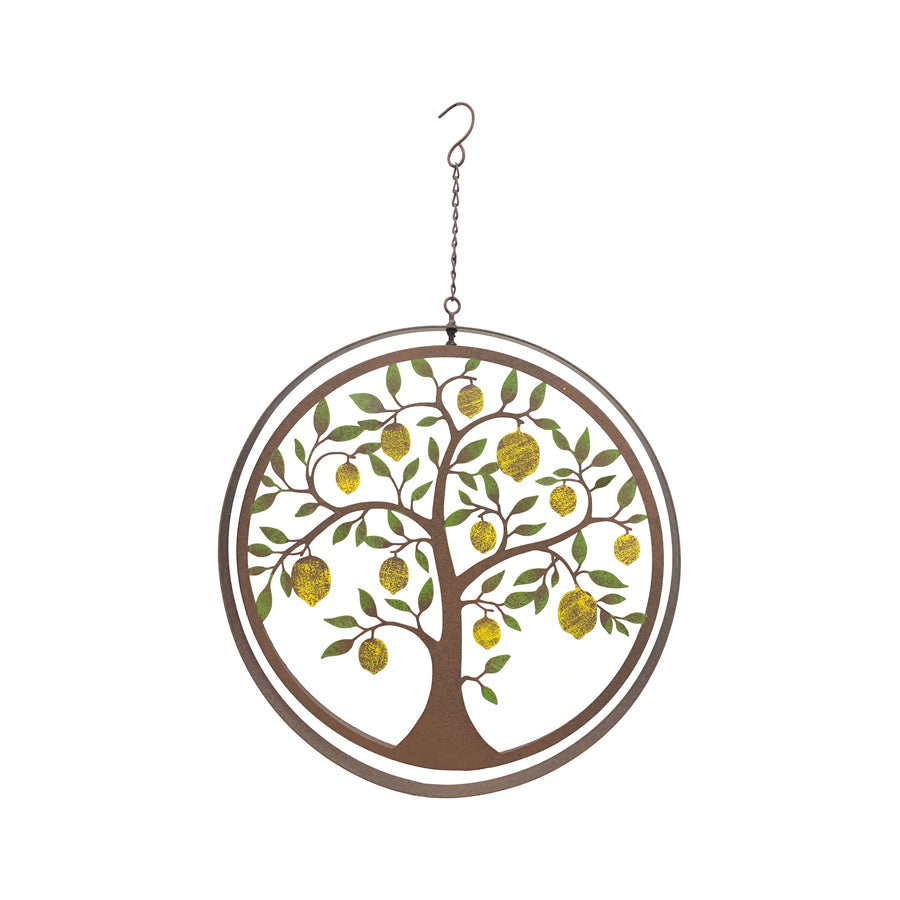 Double Framed Pivoted Hanging Lemon Tree