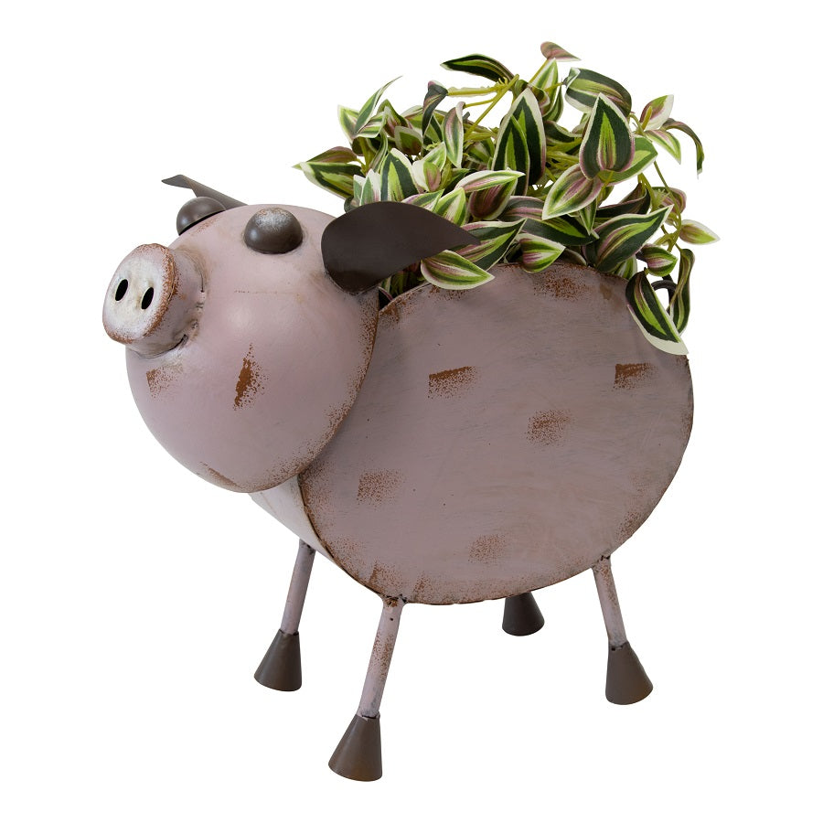 Glamour Pig Outdoor Planter