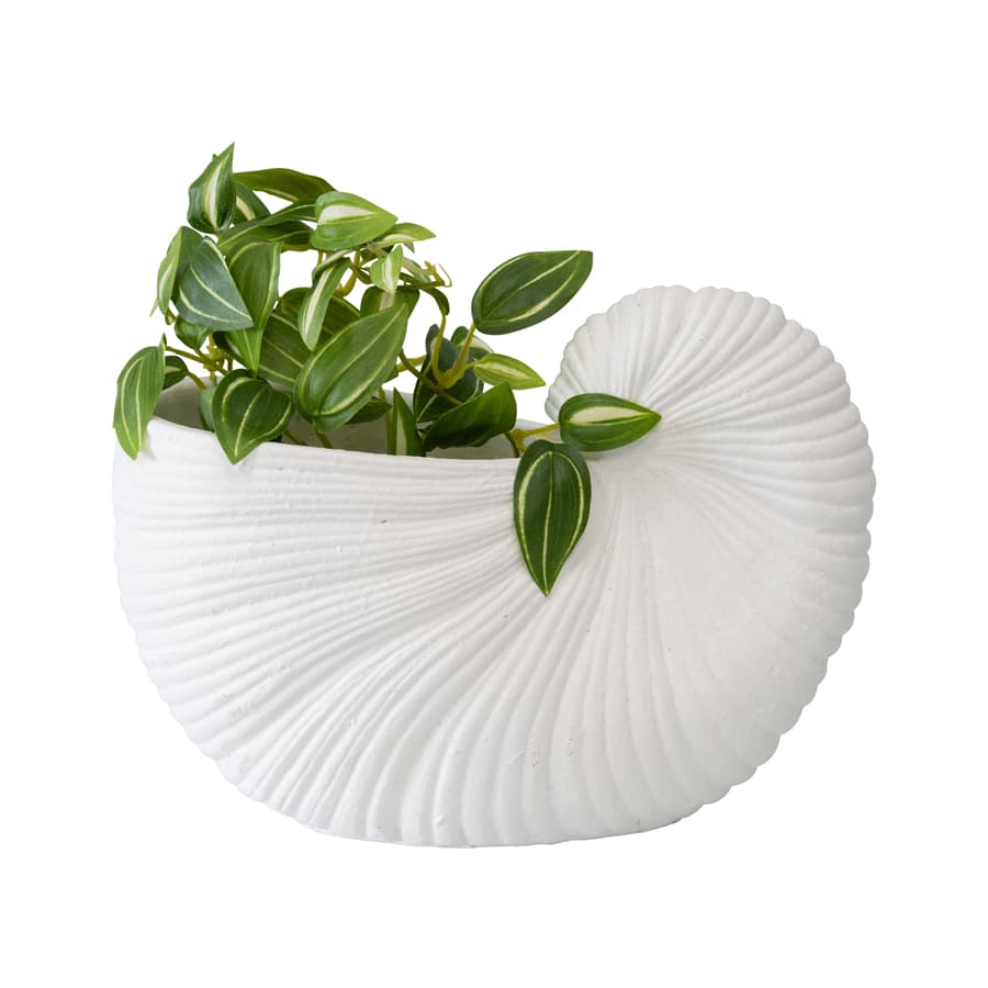White Seashell Planter