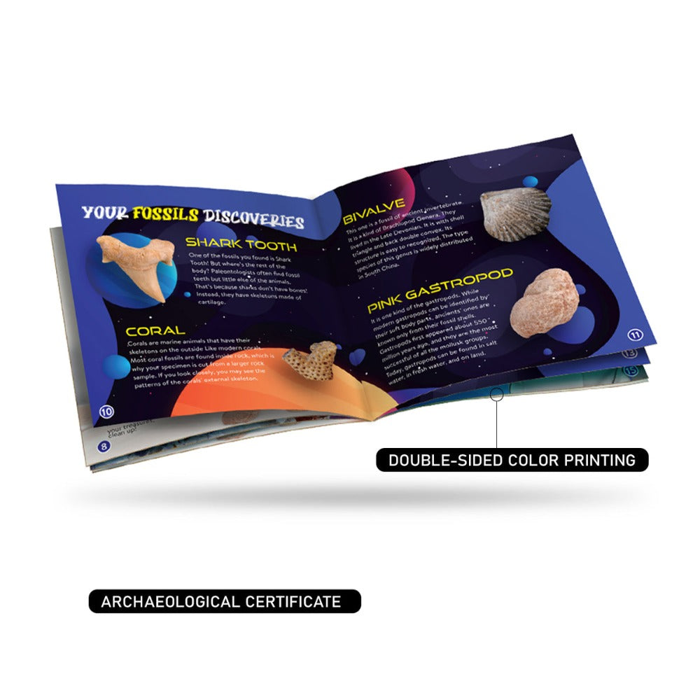 Explore The Planet Digging Kit - Earth Big Treasures