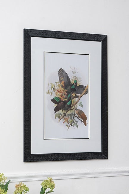 Set of 2 Birds Wall Art 50cms x 70cms