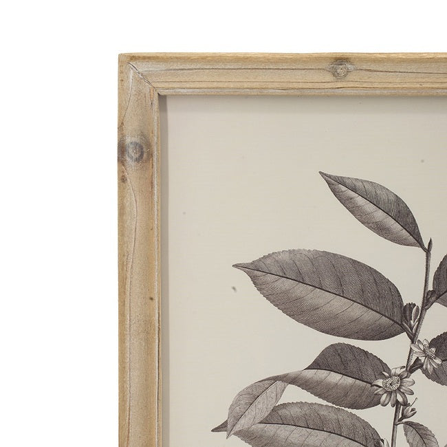 Botanical Wall Décor Frames Set of 4