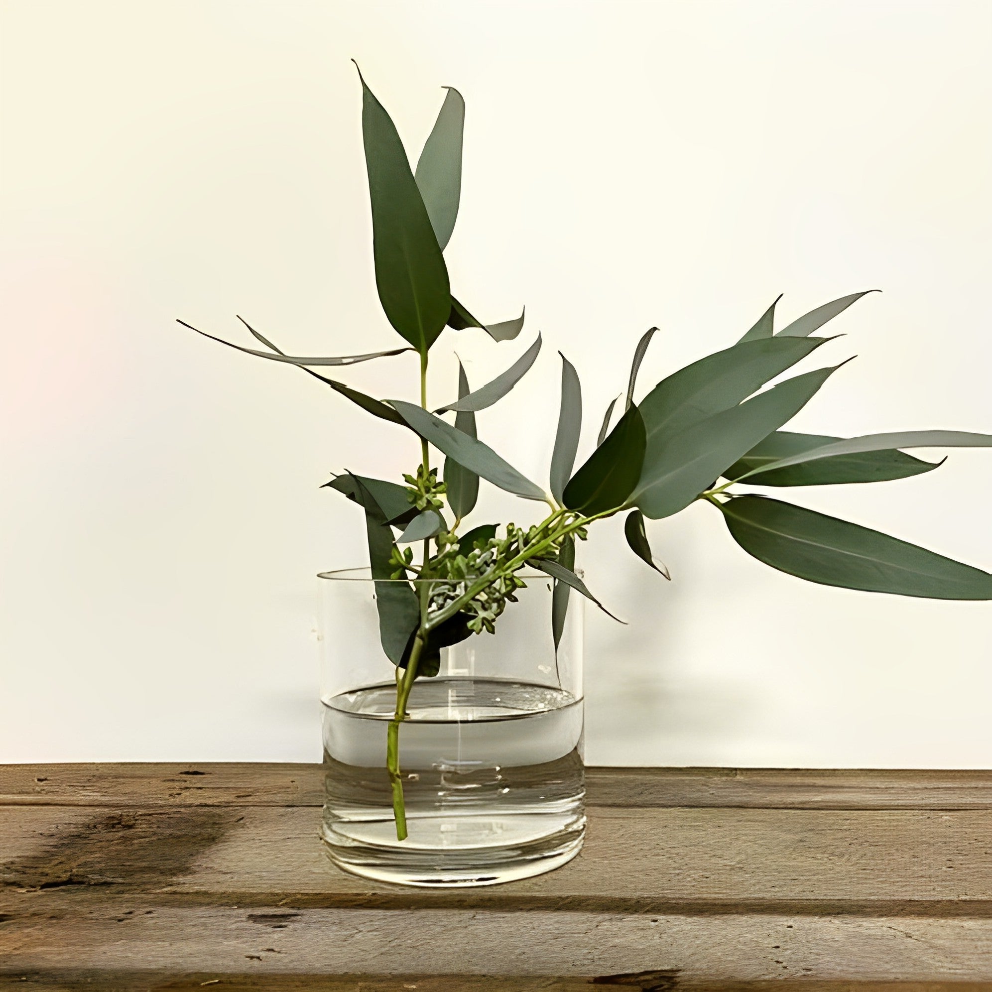 Hartford Cylindrical Glass Vase