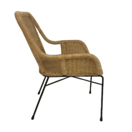 Palmview Rattan Arm Chair