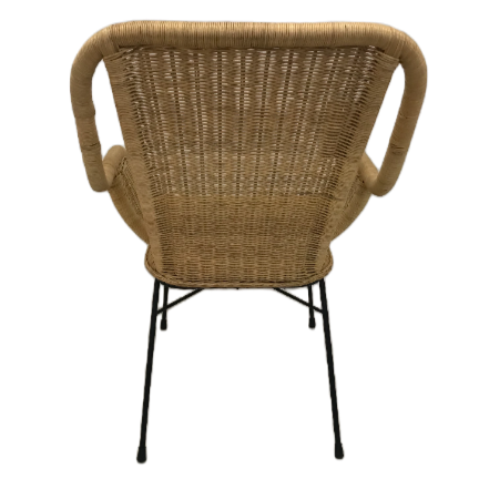 Palmview Rattan Arm Chair