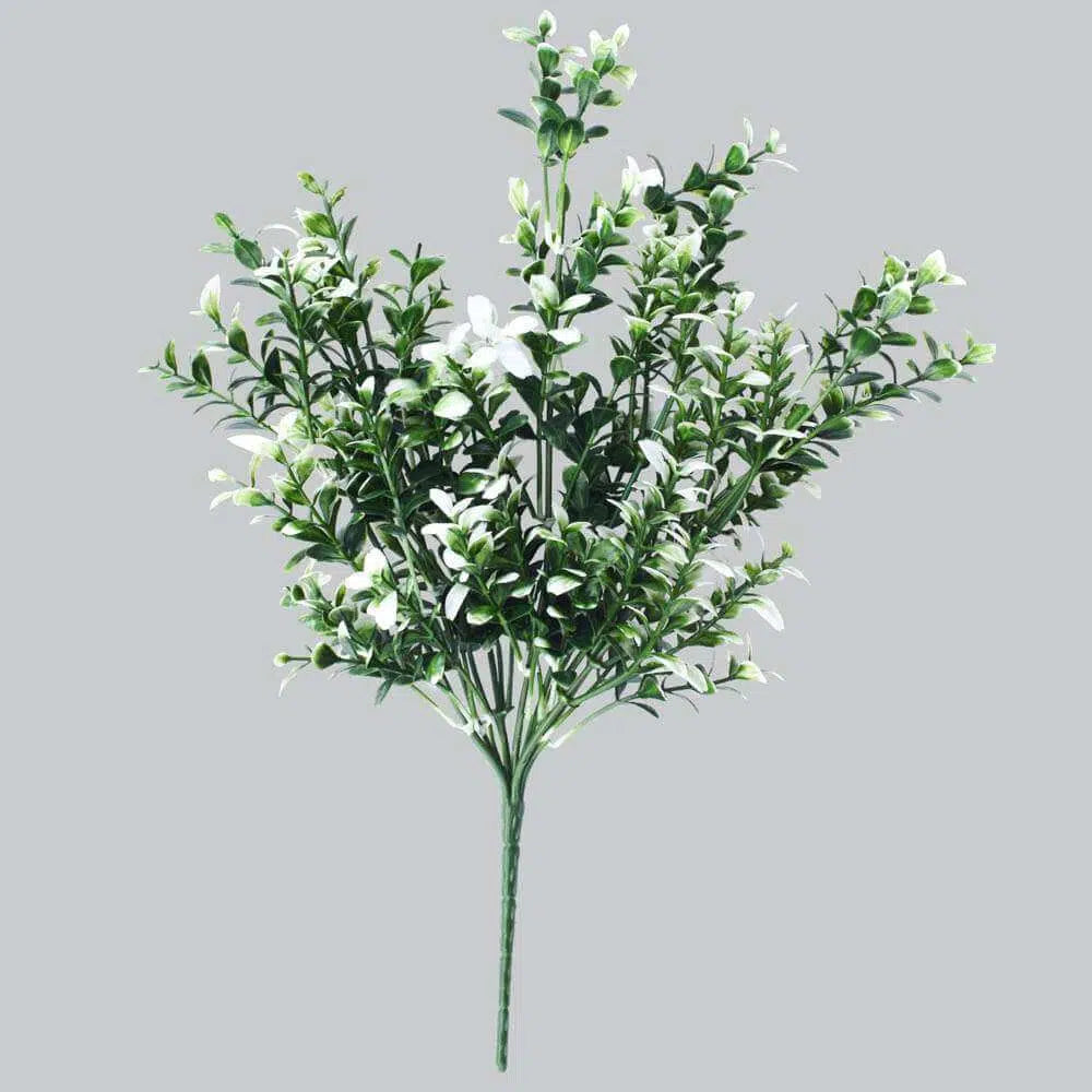White Tipped Money Leaf Stem 32cms