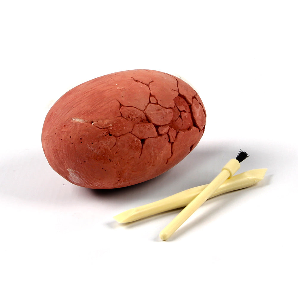 Dig & Discover Dinosaur Egg Dig Kit (Sent At Random)