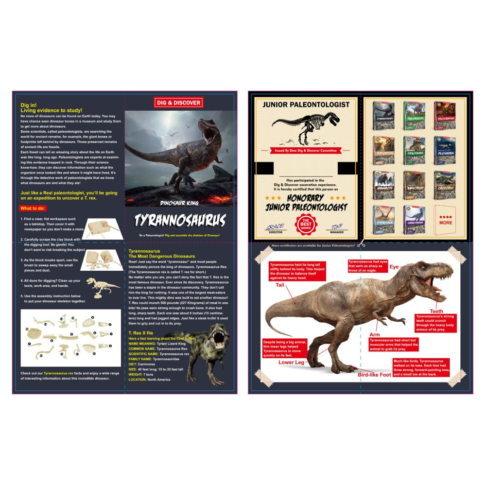 Dig & Discover Tyrannosaurus Dig Kit