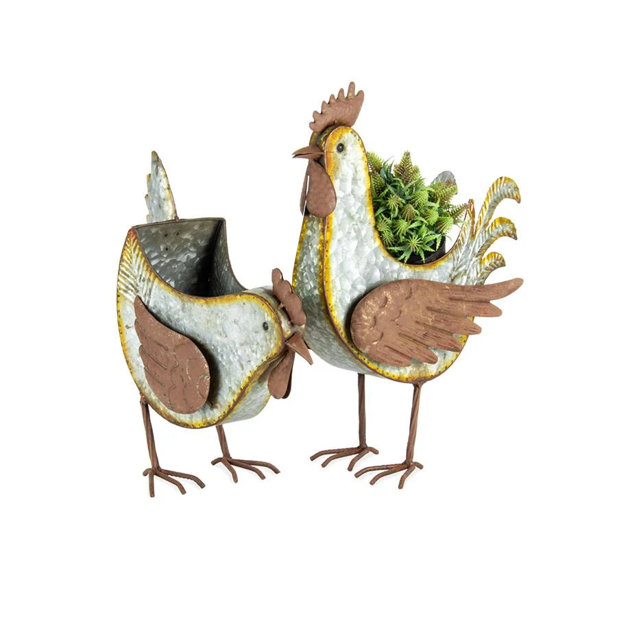 Set of 2 Asst Galvanised Rust Chook Planters/Holders
