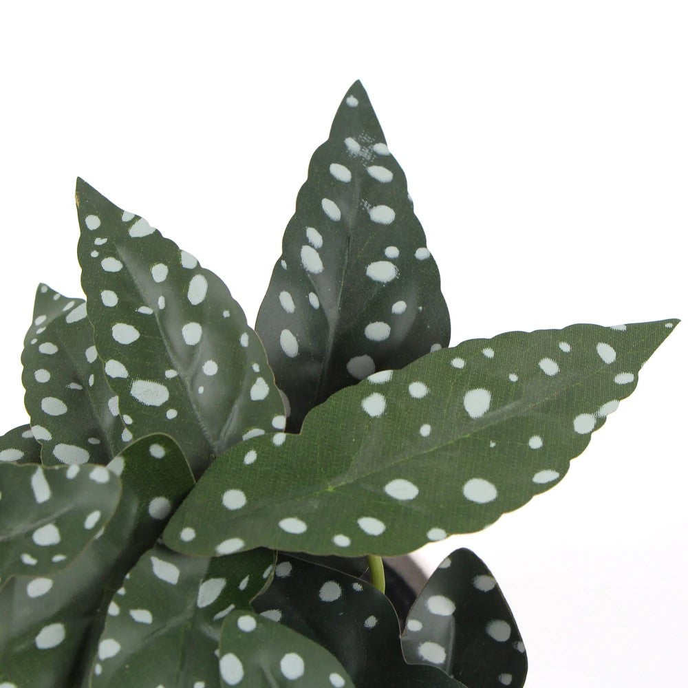 Artificial Begonia Maculata Plant 30cms