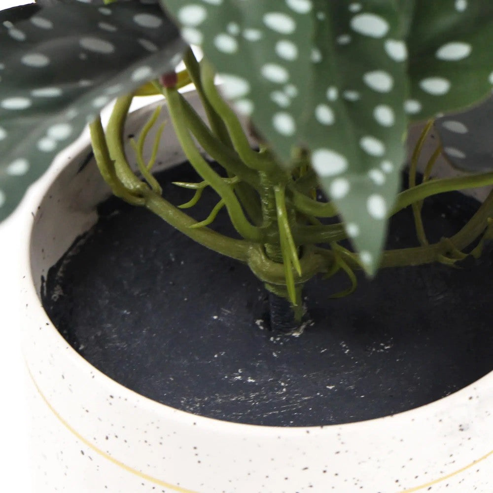 Artificial Begonia Maculata Plant 30cms