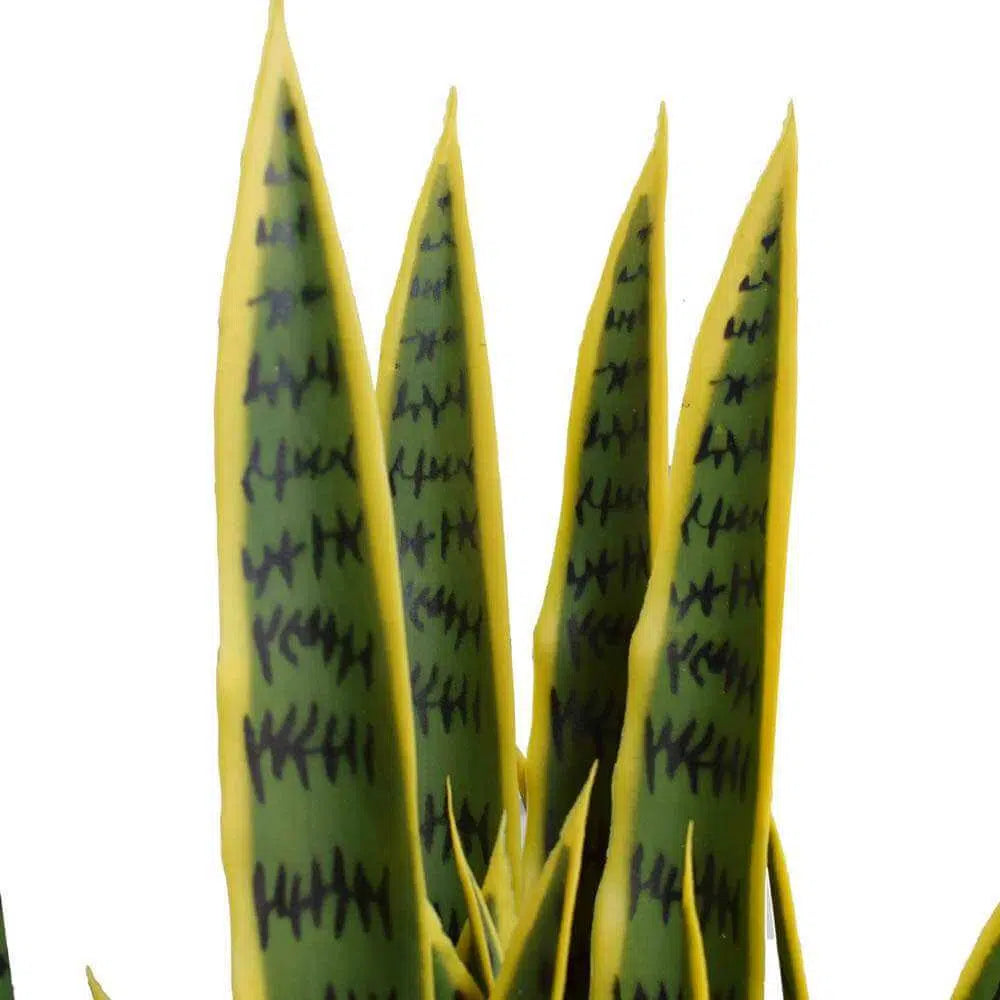 Artificial Faux Yellow Tongue Snake Plant 100cms