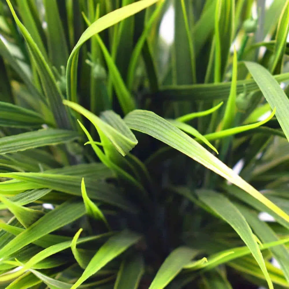 Artificial Ornamental Green Grass UV Resistant 38cms