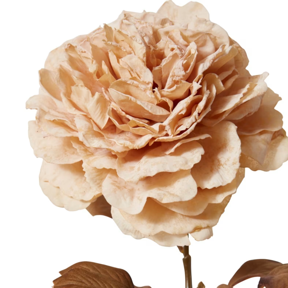 Artificial Peony Decor Stem - Antique Cream - 69cms